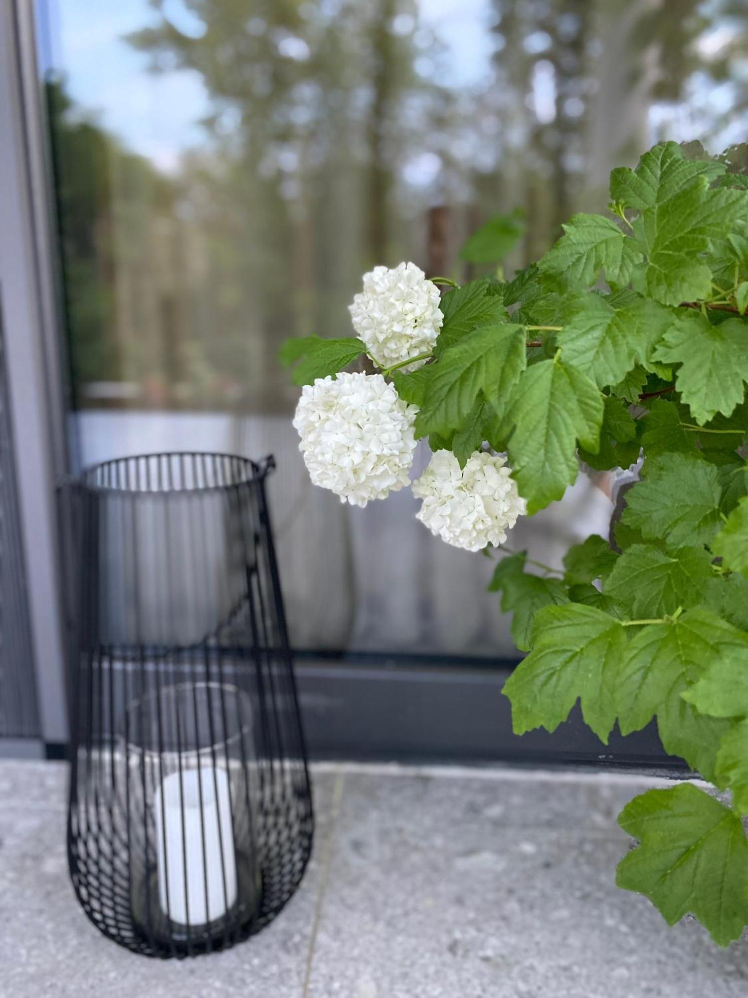 B&B Plitvice Area Natura Selište Drežničko Zewnętrze zdjęcie