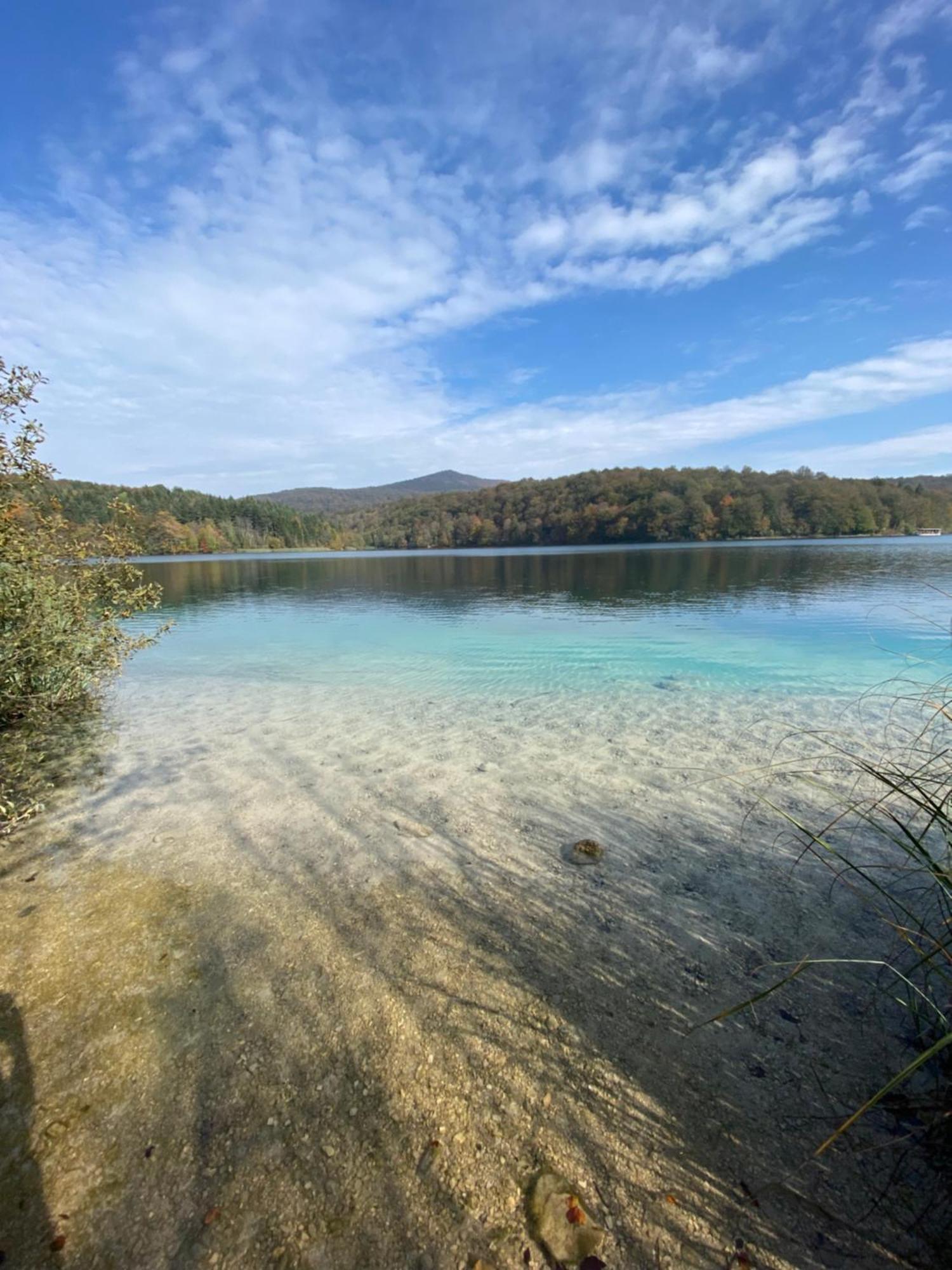 B&B Plitvice Area Natura Selište Drežničko Zewnętrze zdjęcie